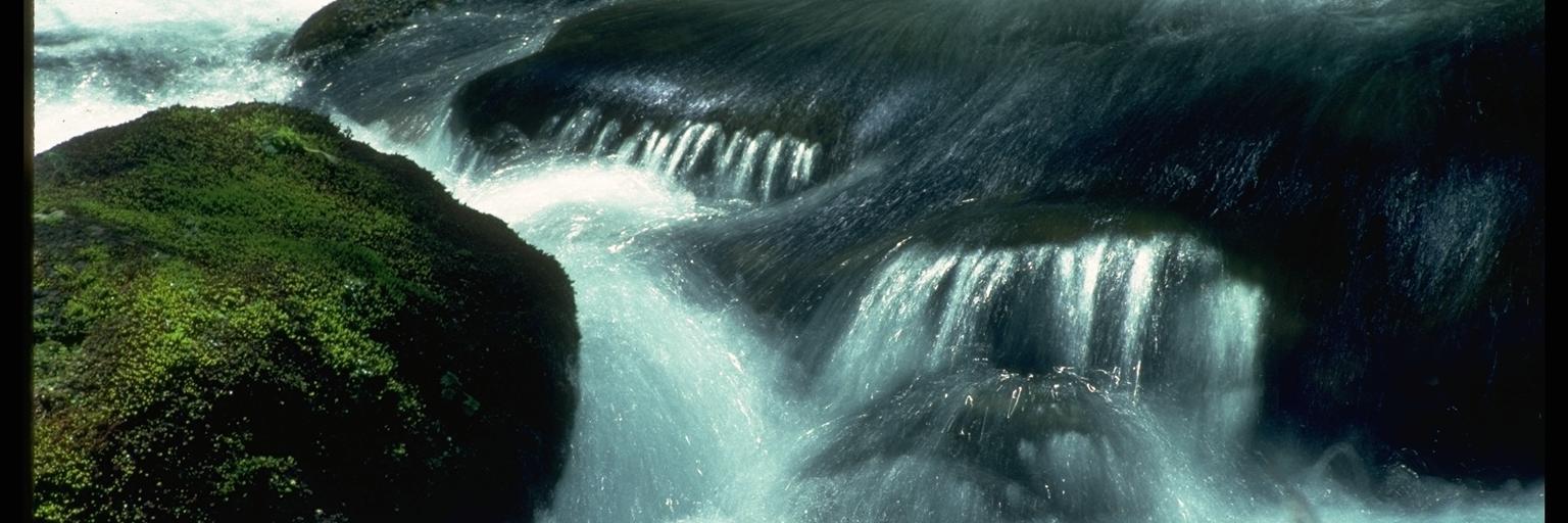 celneraasss's profile banner image