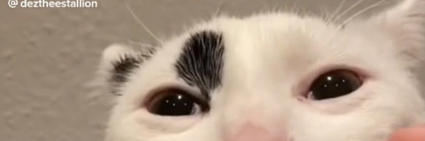 malloryswyers's profile banner image