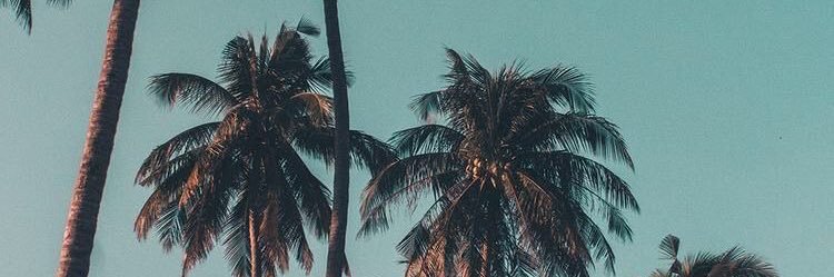 Albrto_ms's profile banner image