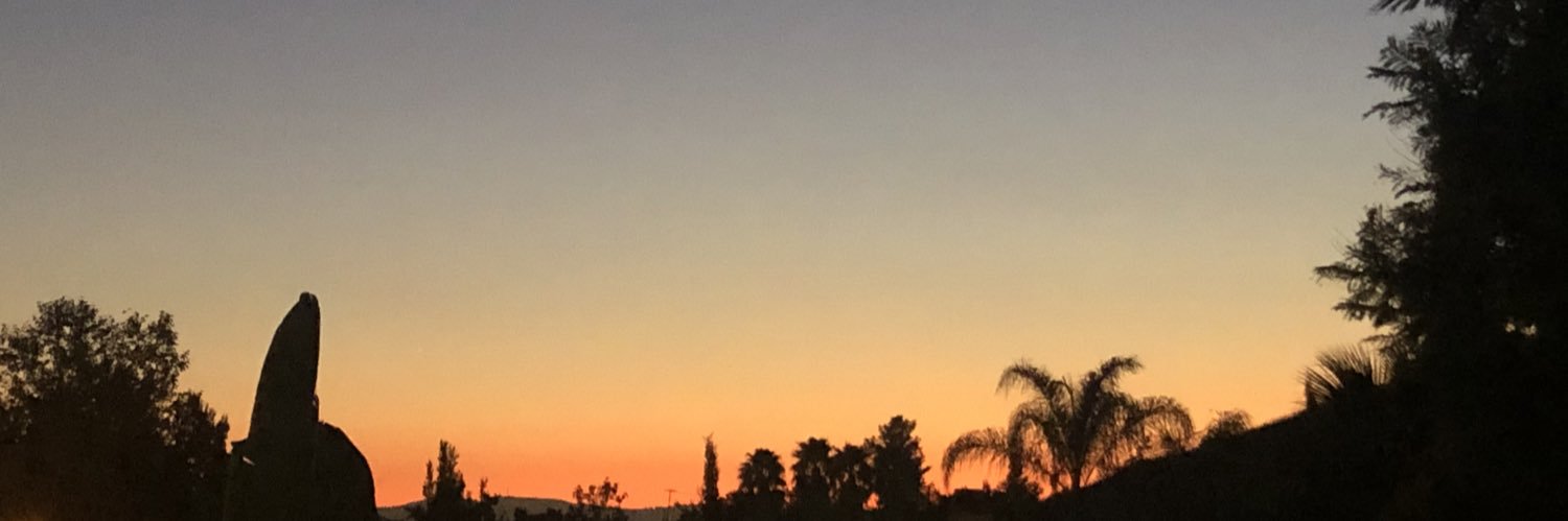 traci4of4's profile banner image