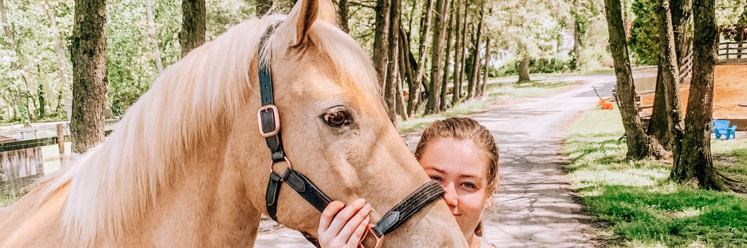KMStewart6's profile banner image