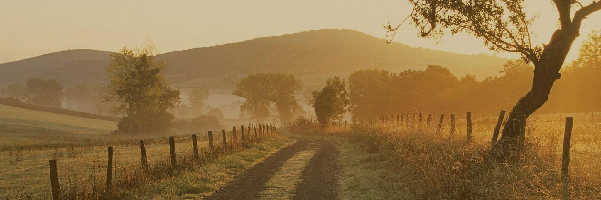 Country Road TV banner