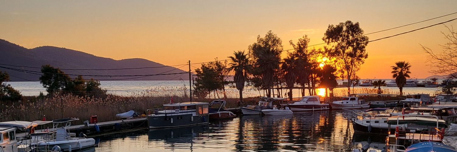 Turkbeyibrahim's profile banner image