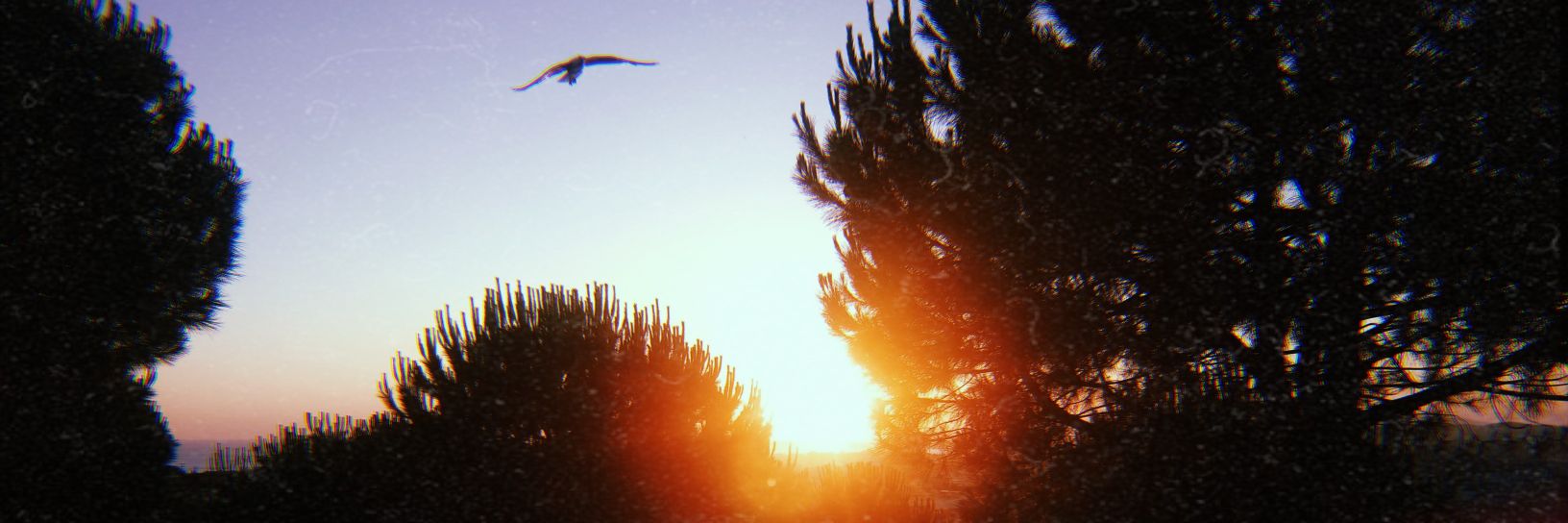 snngggllll's profile banner image
