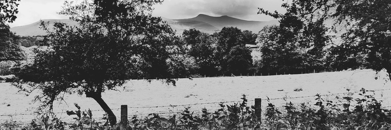 Nigey`s Wild Walks banner