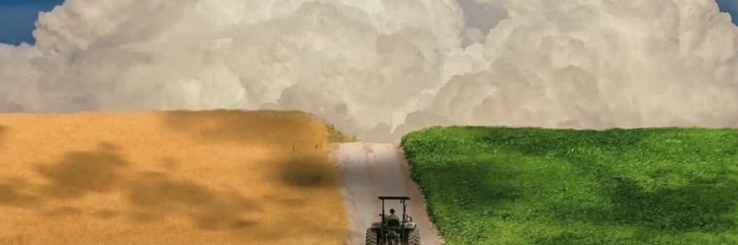 BrunoCiscotto's profile banner image