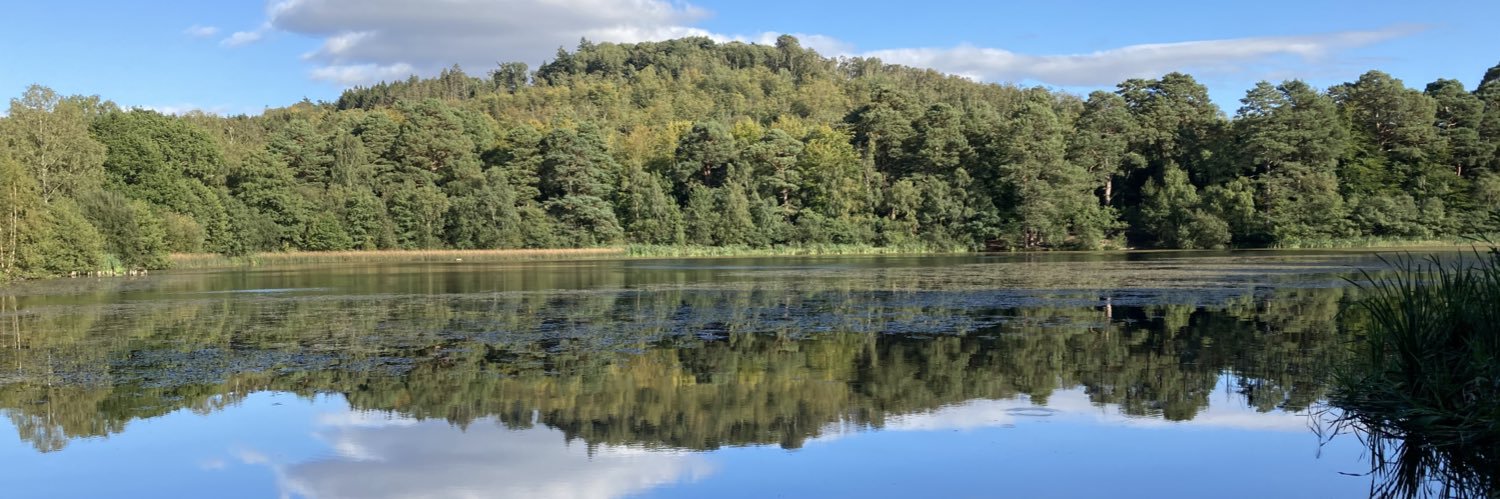 Sue Faulds RN PhD she/her banner