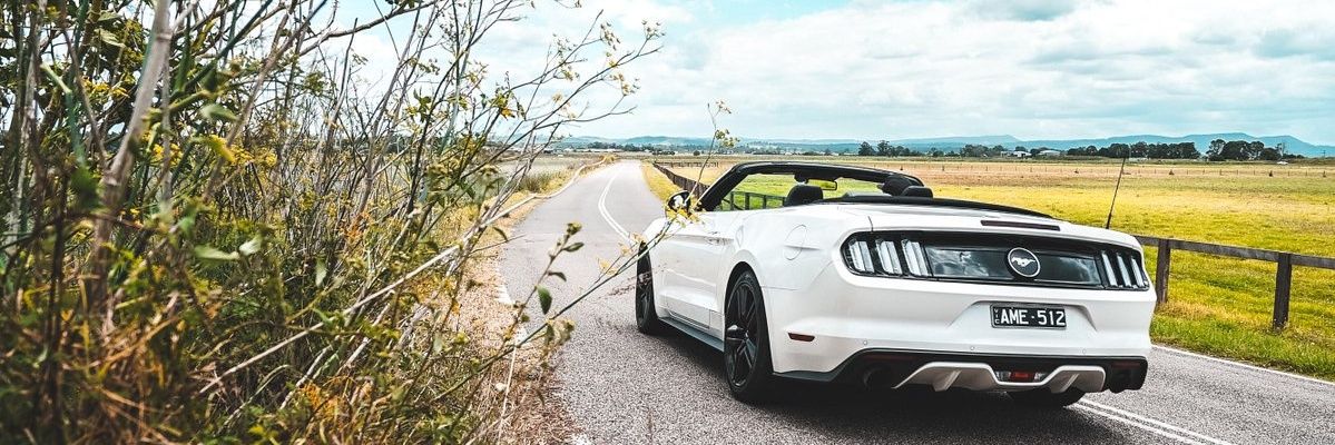 ennydyno banner
