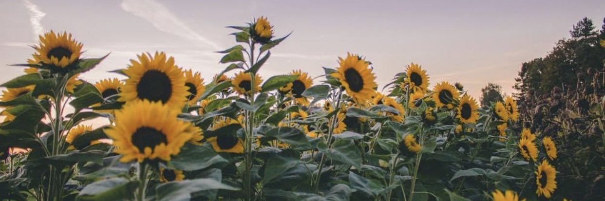 Stephaniealee_'s profile banner image