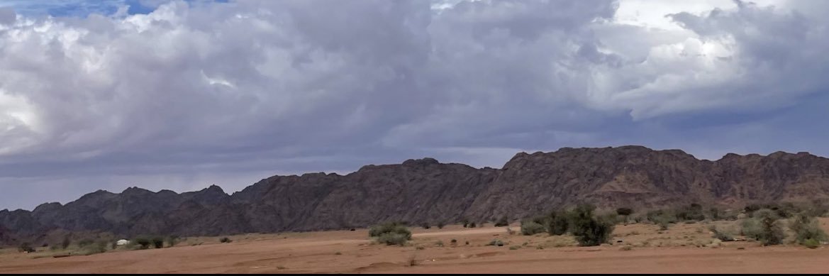 trkyly9's profile banner image