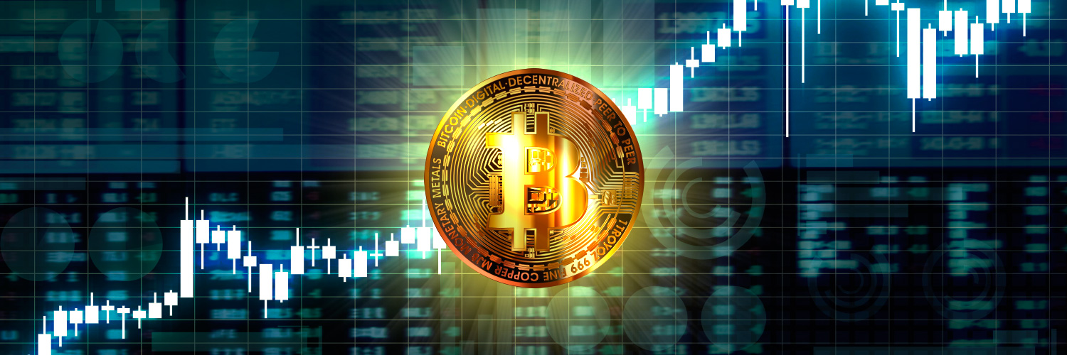 ロメンリーフ🍈 banner