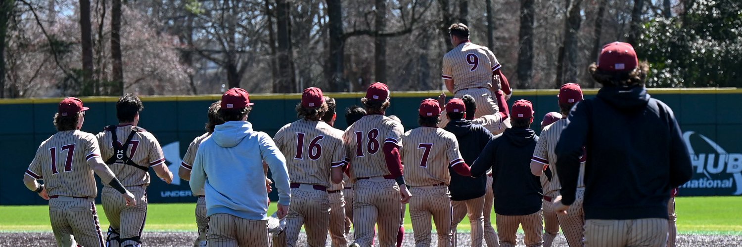 Elon Baseball's banner