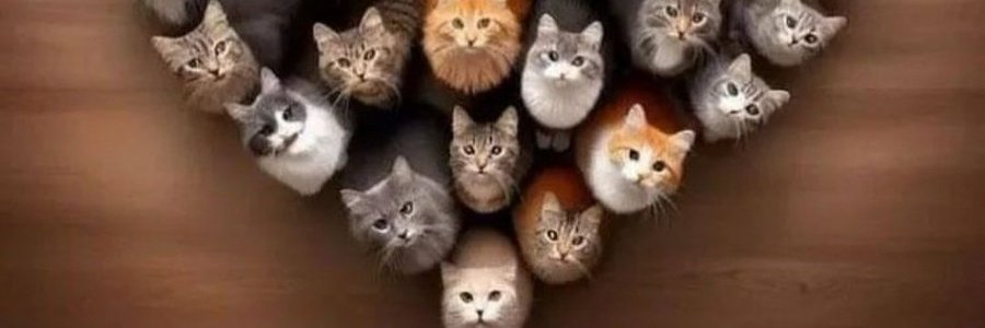 souvlou's profile banner image