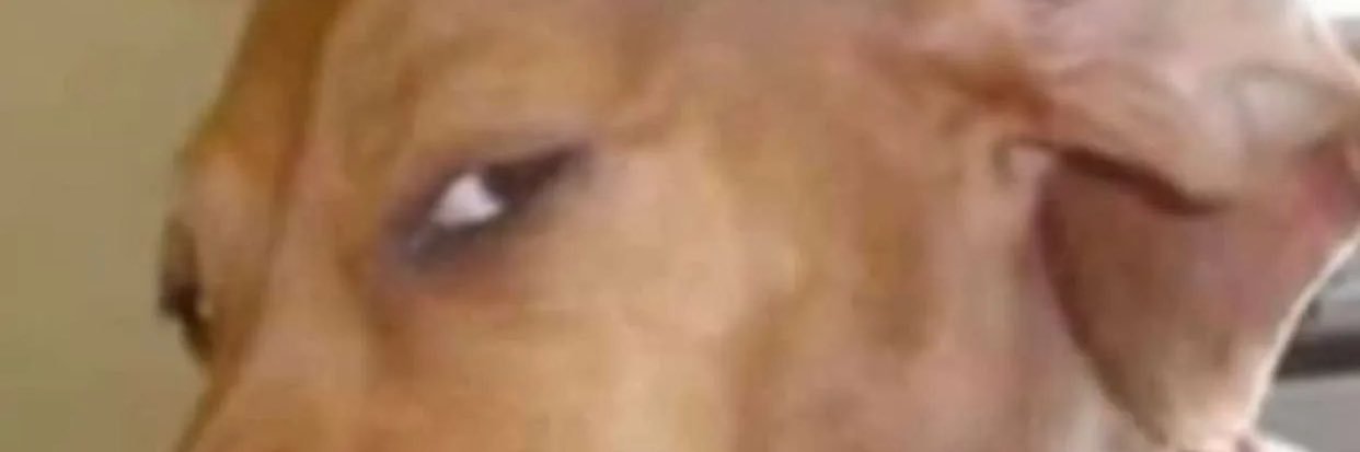 BillyGoat4oe's profile banner image
