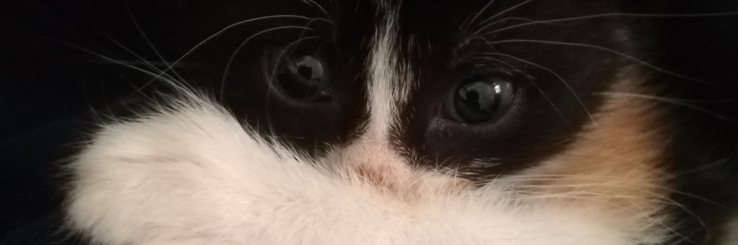 Hlgokces's profile banner image