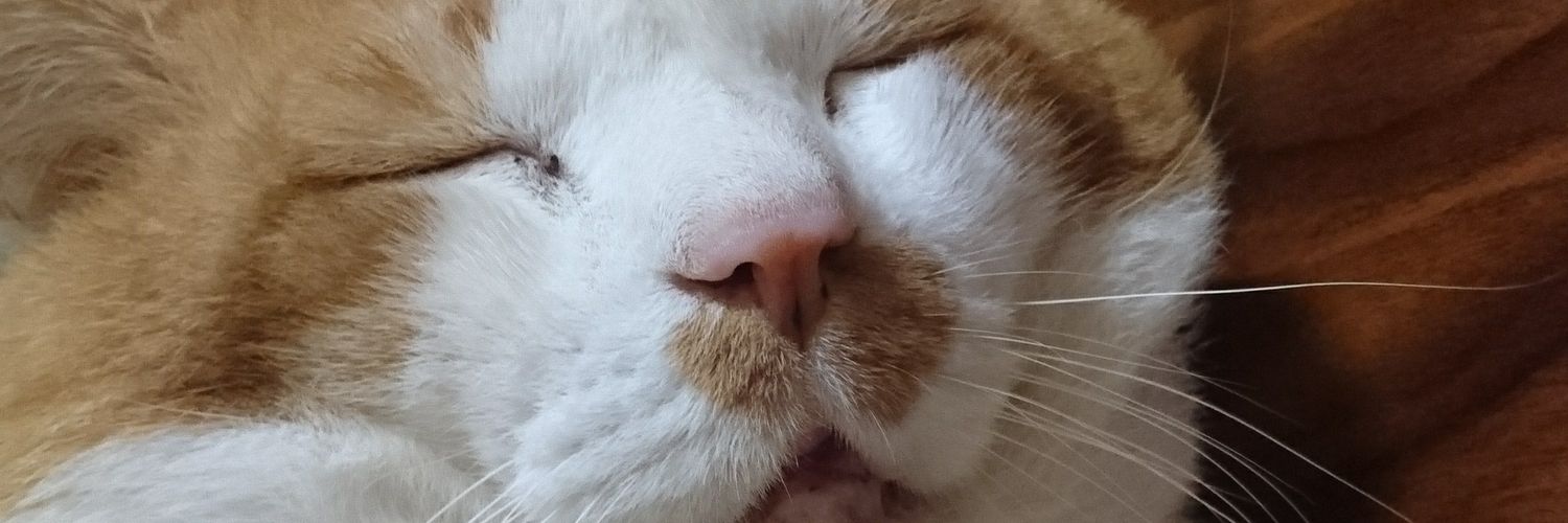 tomoyafromhell's profile banner image