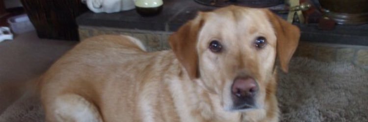 Jake_Seal's profile banner image