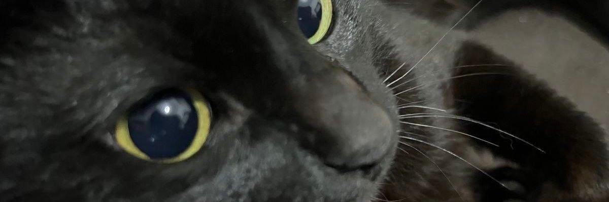 yasmineprd's profile banner image