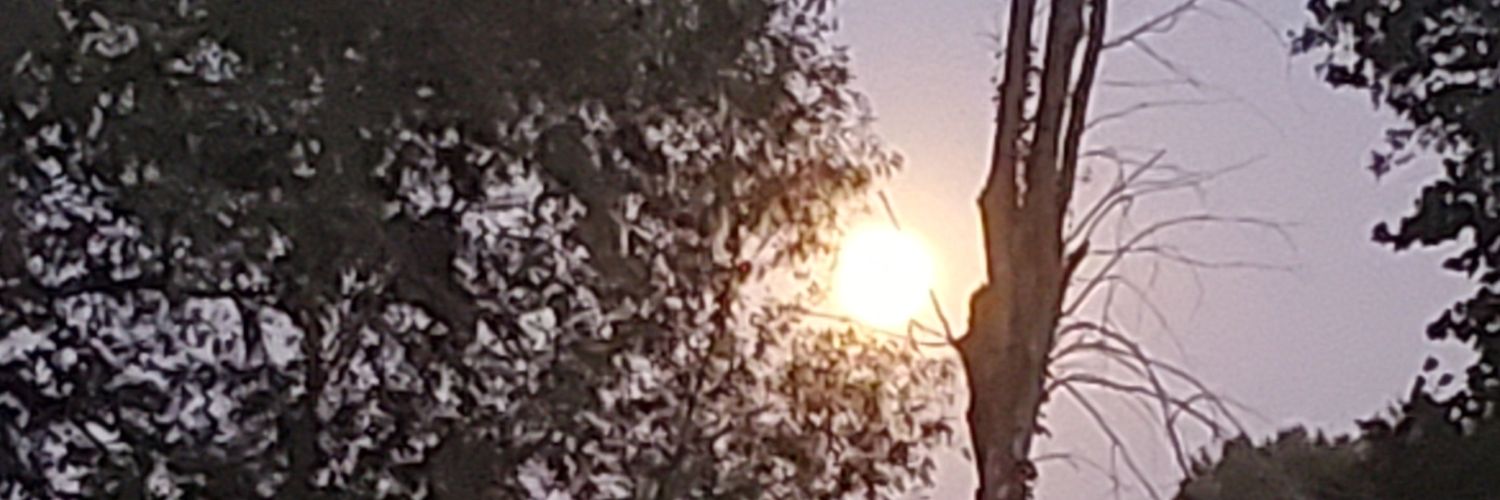 ann_nette's profile banner image