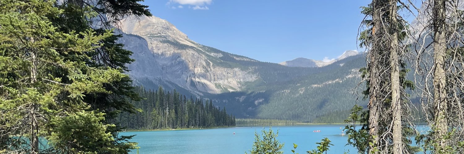 meredithhenley's profile banner image