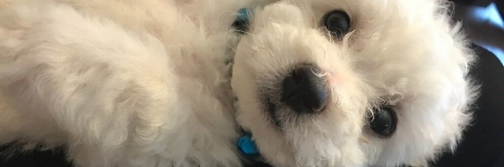 Freetbeme's profile banner image