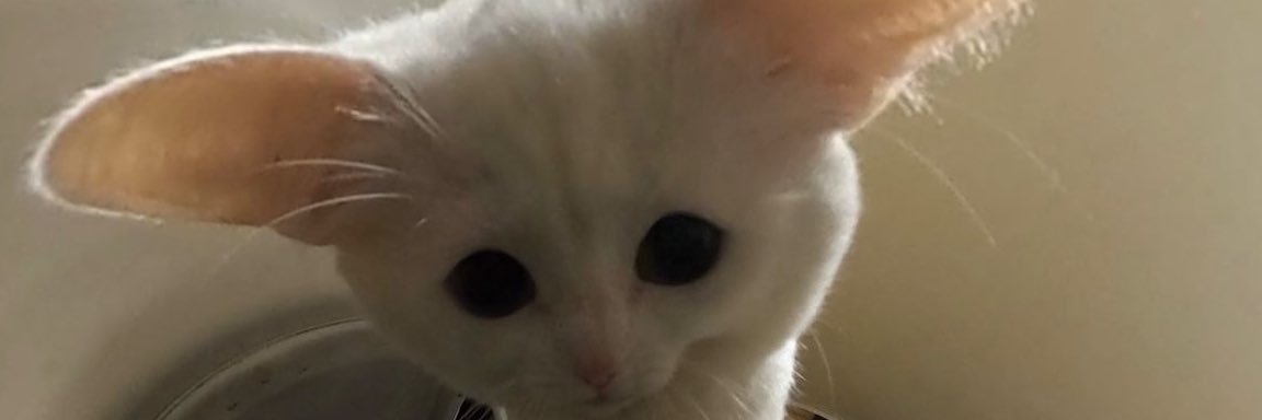 corbin_notter's profile banner image