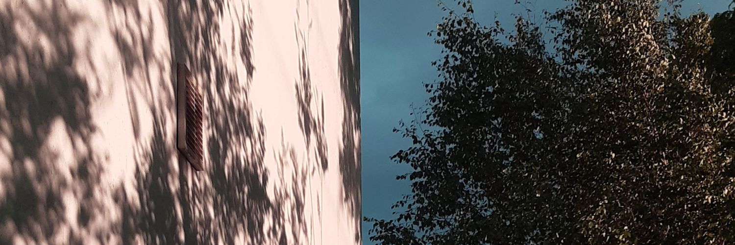 LachlannOF's profile banner image