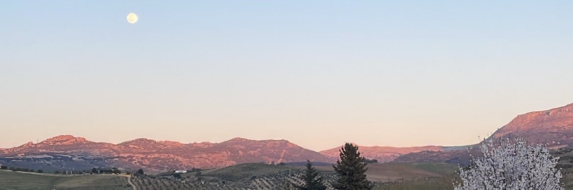 javito banner