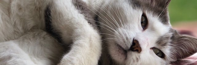 ulkusevinc69's profile banner image