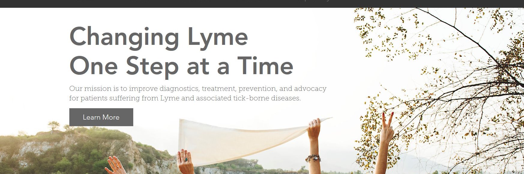 Focus On Lyme banner