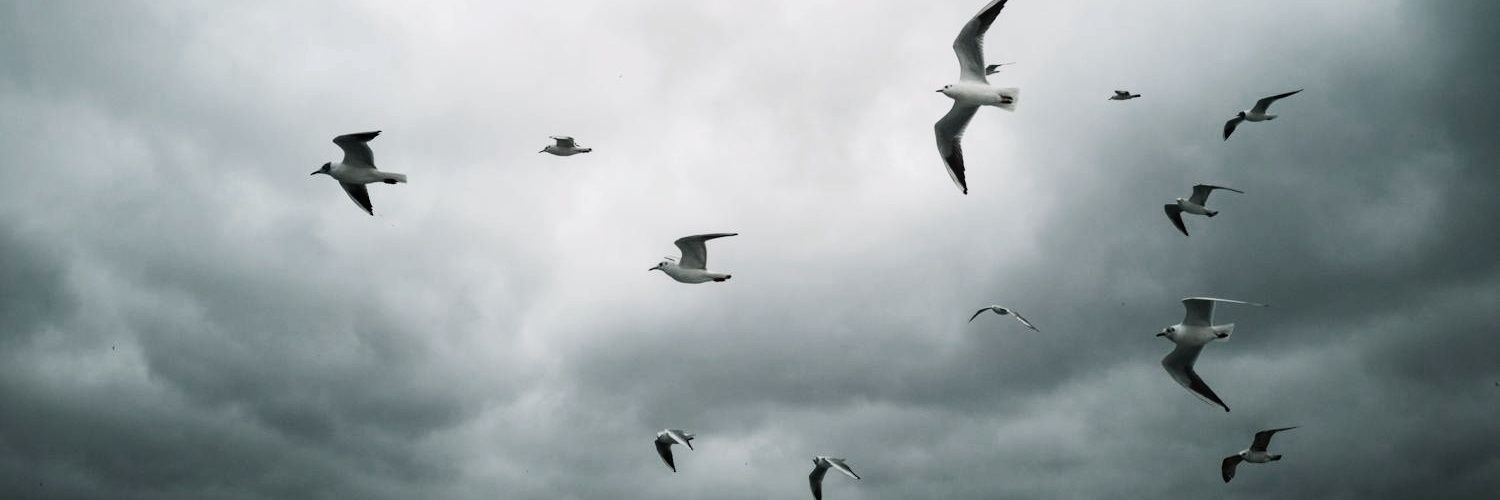 LunaEnElAlba's profile banner image