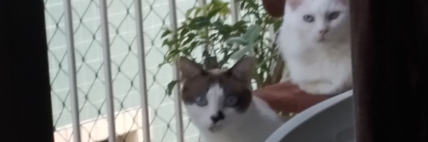 desertoli's profile banner image
