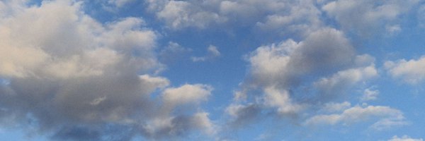 EFolest Profile Banner