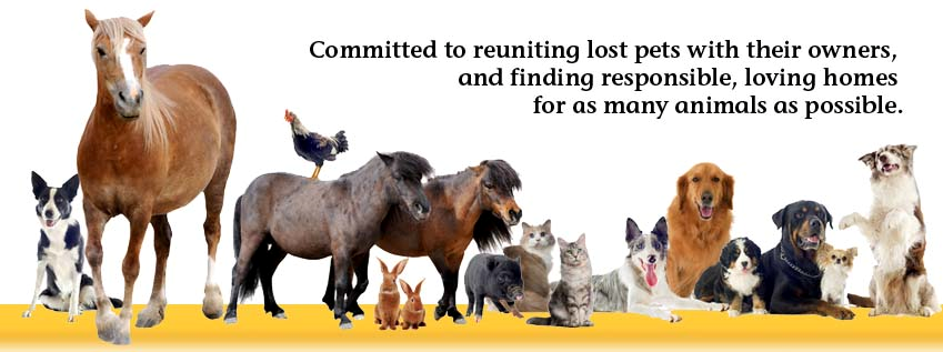 lpcoac's profile banner image