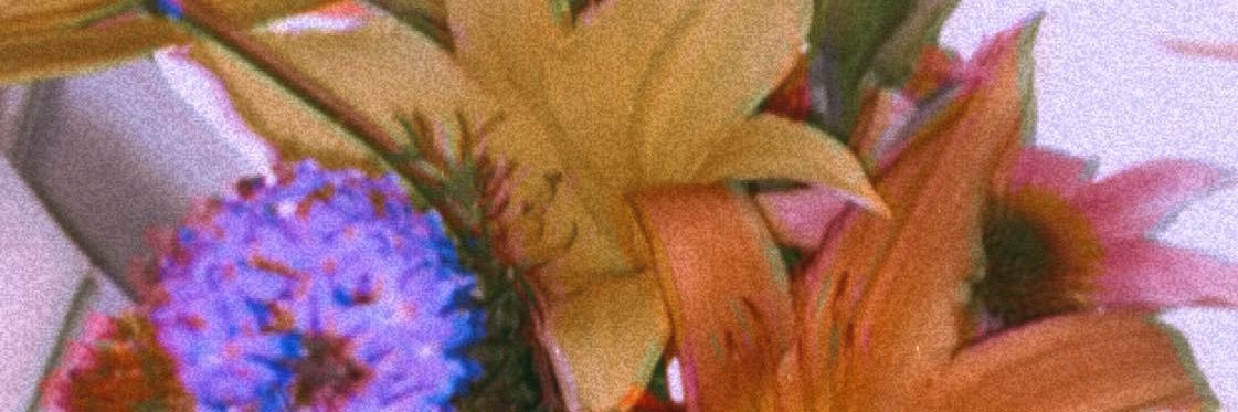 jenna__key's profile banner image
