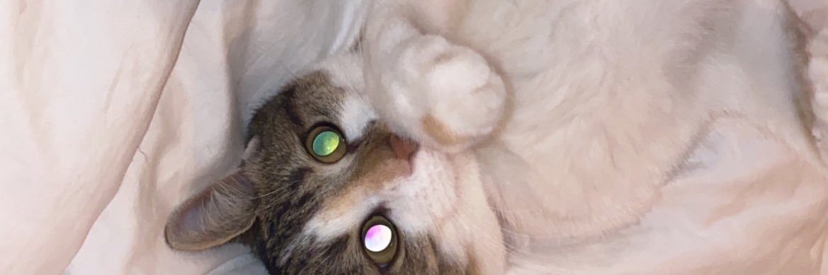 KahMssi's profile banner image