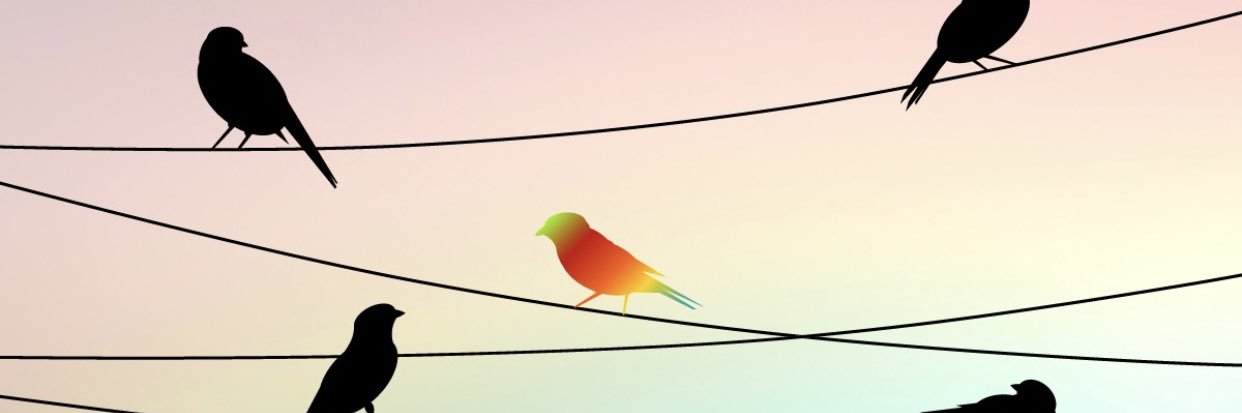 SophyLaughing's profile banner image