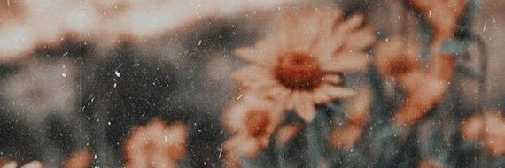 sandishamunee's profile banner image