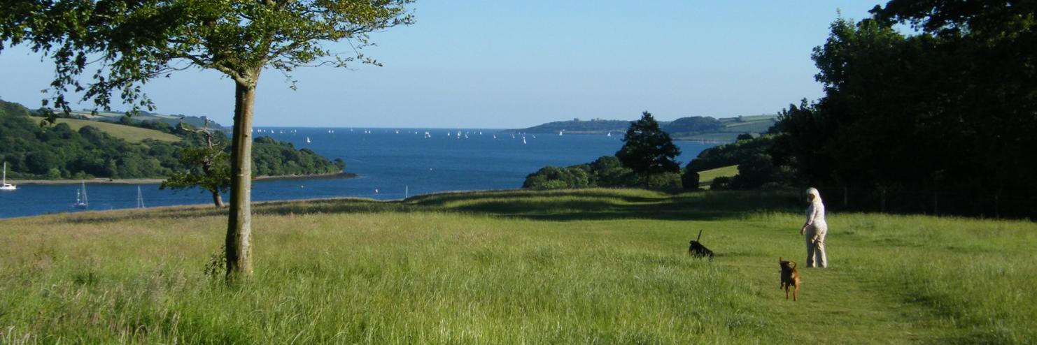 Dog Friendly Cornwall banner