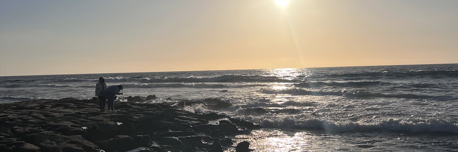 sarahbeaverr's profile banner image