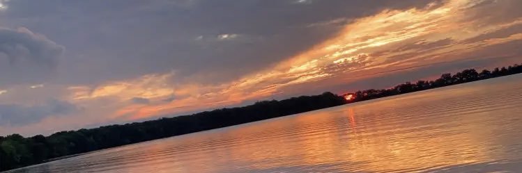 Avery Stevens banner