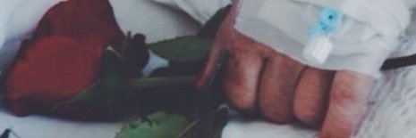 jeehan7's profile banner image