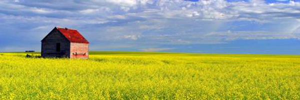 matulinmar Profile Banner