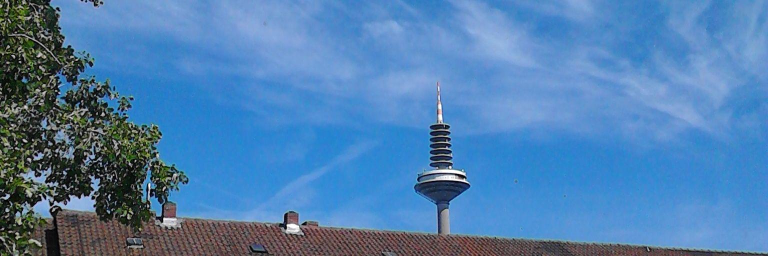 DavidvonBerndt's profile banner image