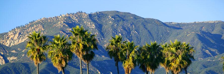 Dr. Michelle A. O'Malley banner