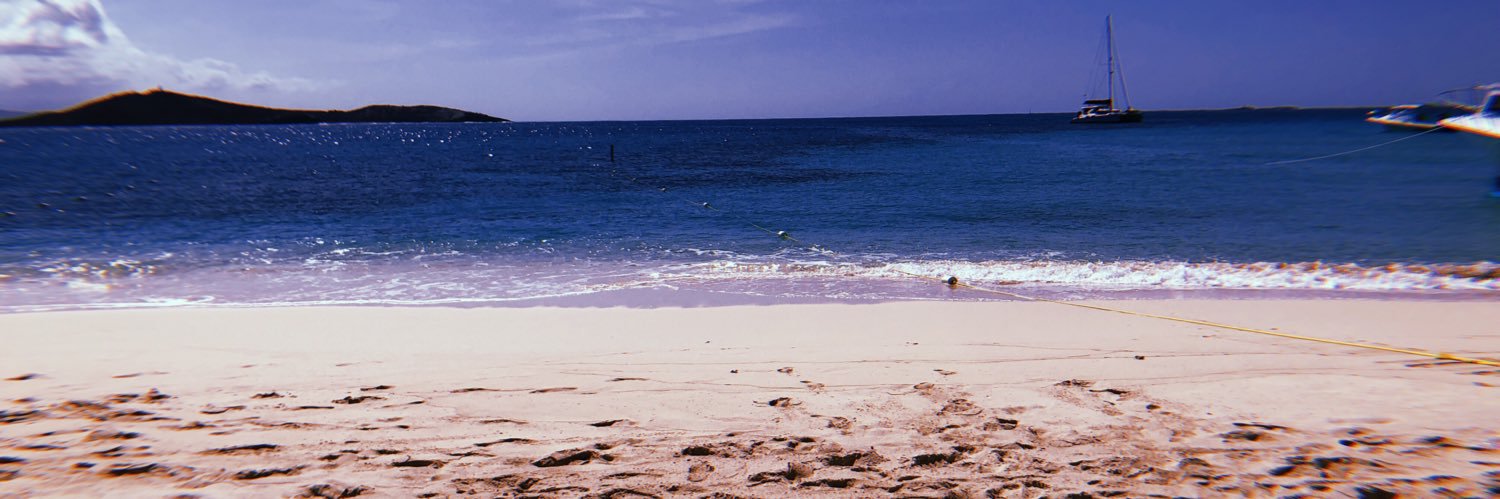 sheilamar's profile banner image
