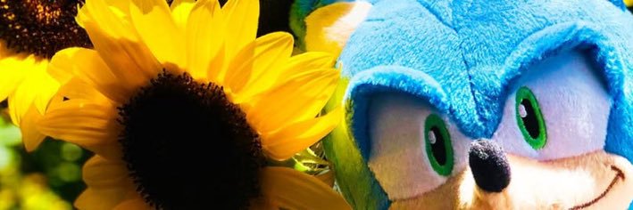chespiladas's profile banner image