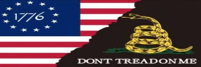 Noogenesis 🇺🇸🇩🇪🇸🇯 banner