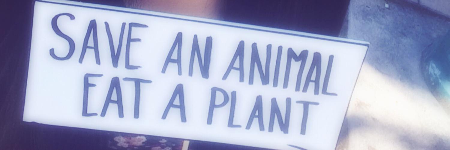 PlantBasedLife1's profile banner image