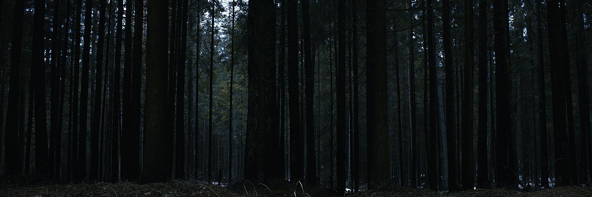Pagan_41's profile banner image